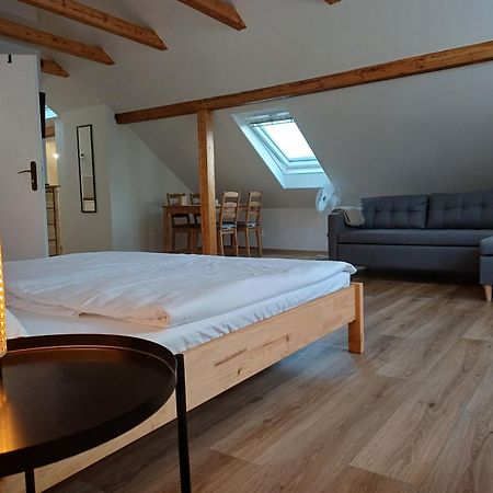 Loft Apartment Карловы Вары Экстерьер фото